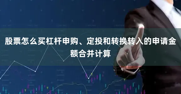 股票怎么买杠杆申购、定投和转换转入的申请金额合并计算