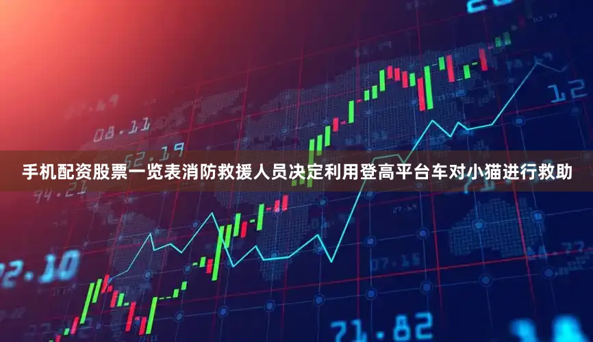 手机配资股票一览表消防救援人员决定利用登高平台车对小猫进行救助