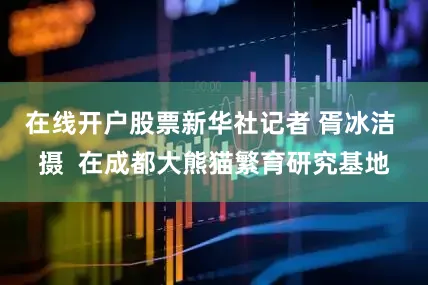 在线开户股票新华社记者 胥冰洁 摄  在成都大熊猫繁育研究基地