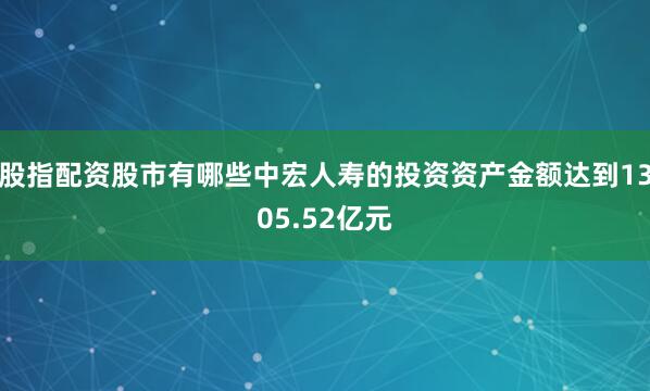 股指配资股市有哪些中宏人寿的投资资产金额达到1305.52亿元