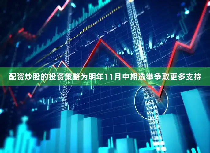 配资炒股的投资策略为明年11月中期选举争取更多支持
